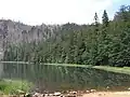 Pohled na jezero