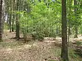 Rokycanská stráň