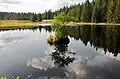 Rolavský rybník