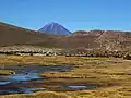 Puna v oblasti Altiplano v severním Chile