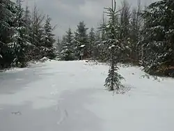 Vrchol Ropice