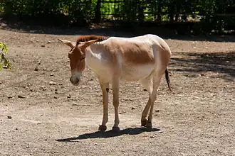 alternativní popis obrázku chybí
