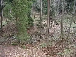 Tvrziště