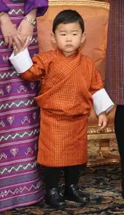 Džigme Namgjal Wangčhug འཇིགས་མེད་རྣམ་རྒྱལ་དབང་ཕྱུག་ (2017)
