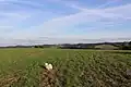 Pohledy do Posázaví z rozvodí