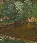 Rudolf Vejrych Tůň v lese (1905)