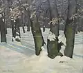 Slunce v lese