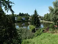 Královský rybník