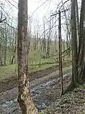 Osamělý sloup elektrického vedení v Rudoltovicích