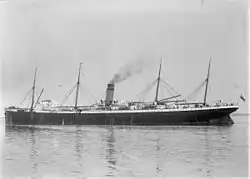 SS Runic