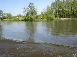 Rameno delty Němenu Rusnė