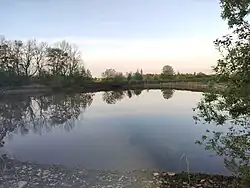 Rybník