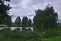 Rybník