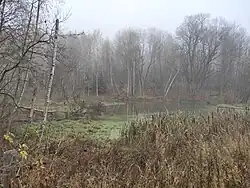 Rybník v Bělé