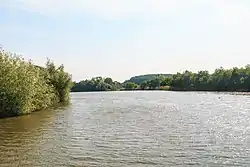 Rybník Šmejkal u Vysokého Veselí