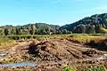 pohled na rybník Borovice u Mukařova