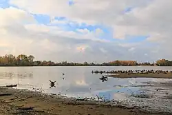 Rybník Buňkov