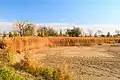 Pobřežní rákosiny (říjen 2018)