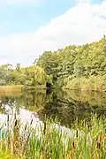 Pohled na rybník Komora u Hluboké