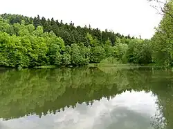 Rybník Neratov