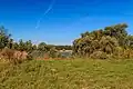 pohled na rybník Pátek v Budě u Bakova