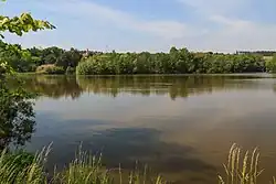 pohled na rybník Pazderna u Zdechovic