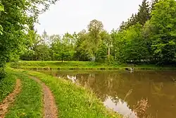 rybník Rohlík u Konopáče