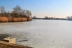 Rybník Slatinka u Malé Strany u Chotěšic