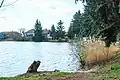 Pohled na rybník Tahounek v Barchově