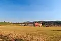 Rybník Vyplatil u Ostružna