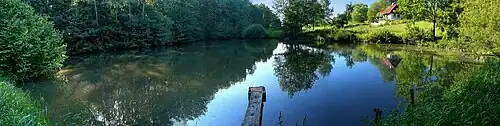 Rybník na Žerčickém potoku