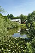 Rybník ve vesnici