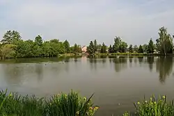Rybník v Trnávce