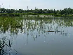 Skučák