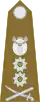 Jihoafrická armáda: armáda