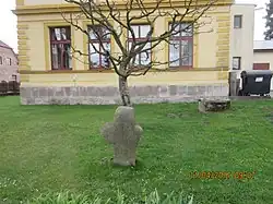 SK Stružnice.jpg