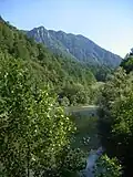 Savinja mezi Laškem a Zidani Mostem