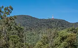 Pidurutalagala