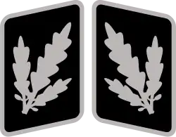 Brigadeführer