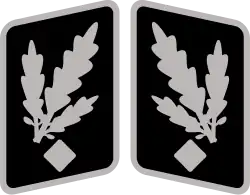 Gruppenführer
