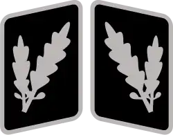 Oberführer