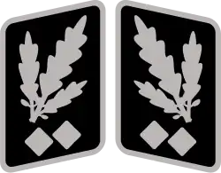 Obergruppenführer