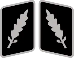 Standartenführer