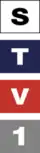 Logo 1996–1999