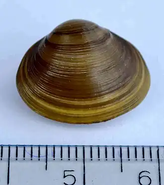alternativní popis obrázku chybí