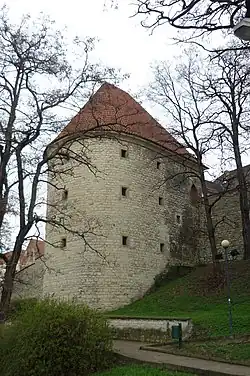 Saaz24.JPG