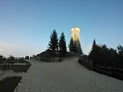 vstup