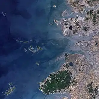 Rok 1989
