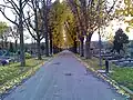 Avenue de l'Ouest