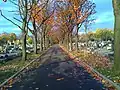 Avenue Transversale N° 2